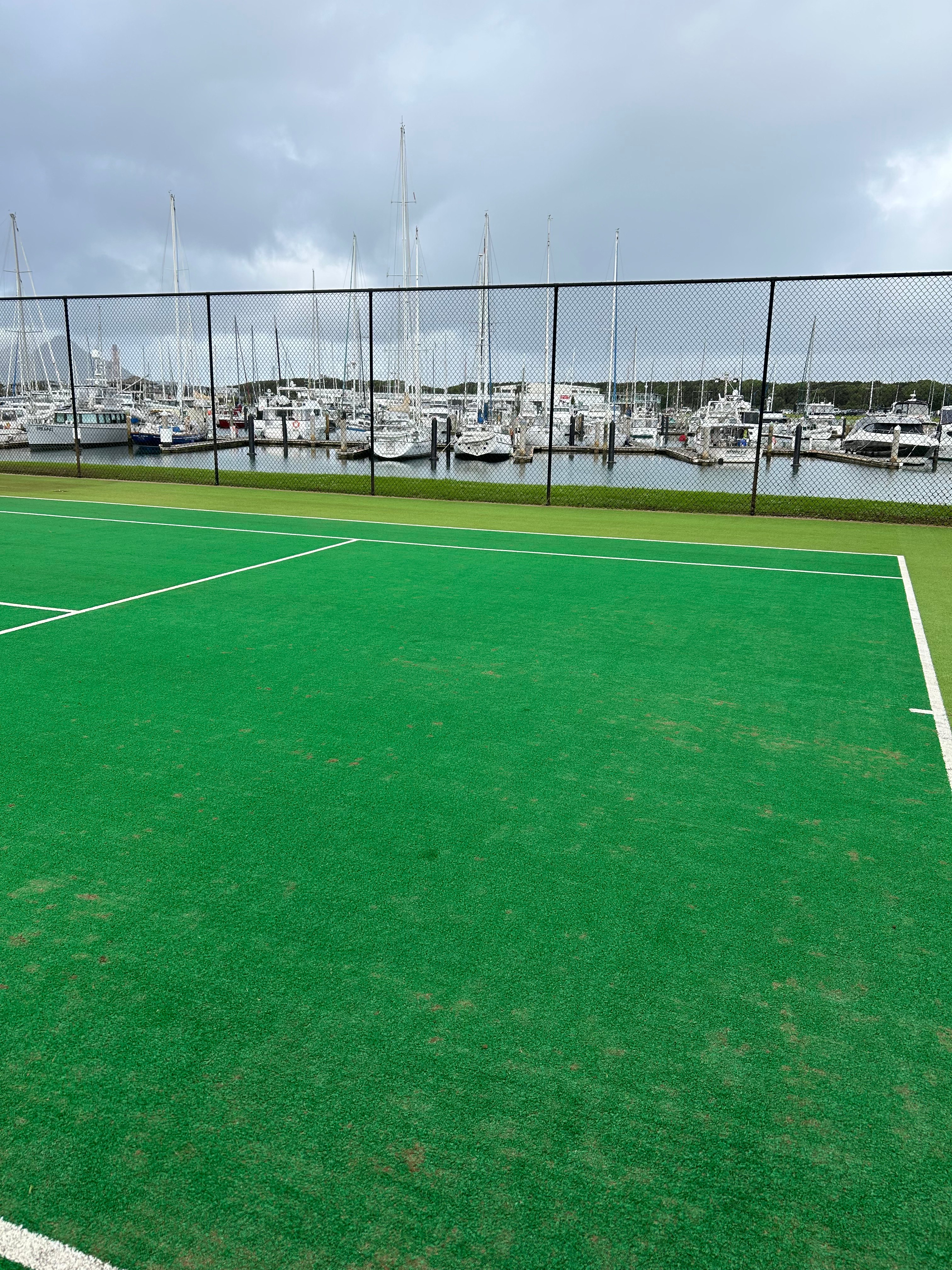 Moss-free artificial turf court after treatment
