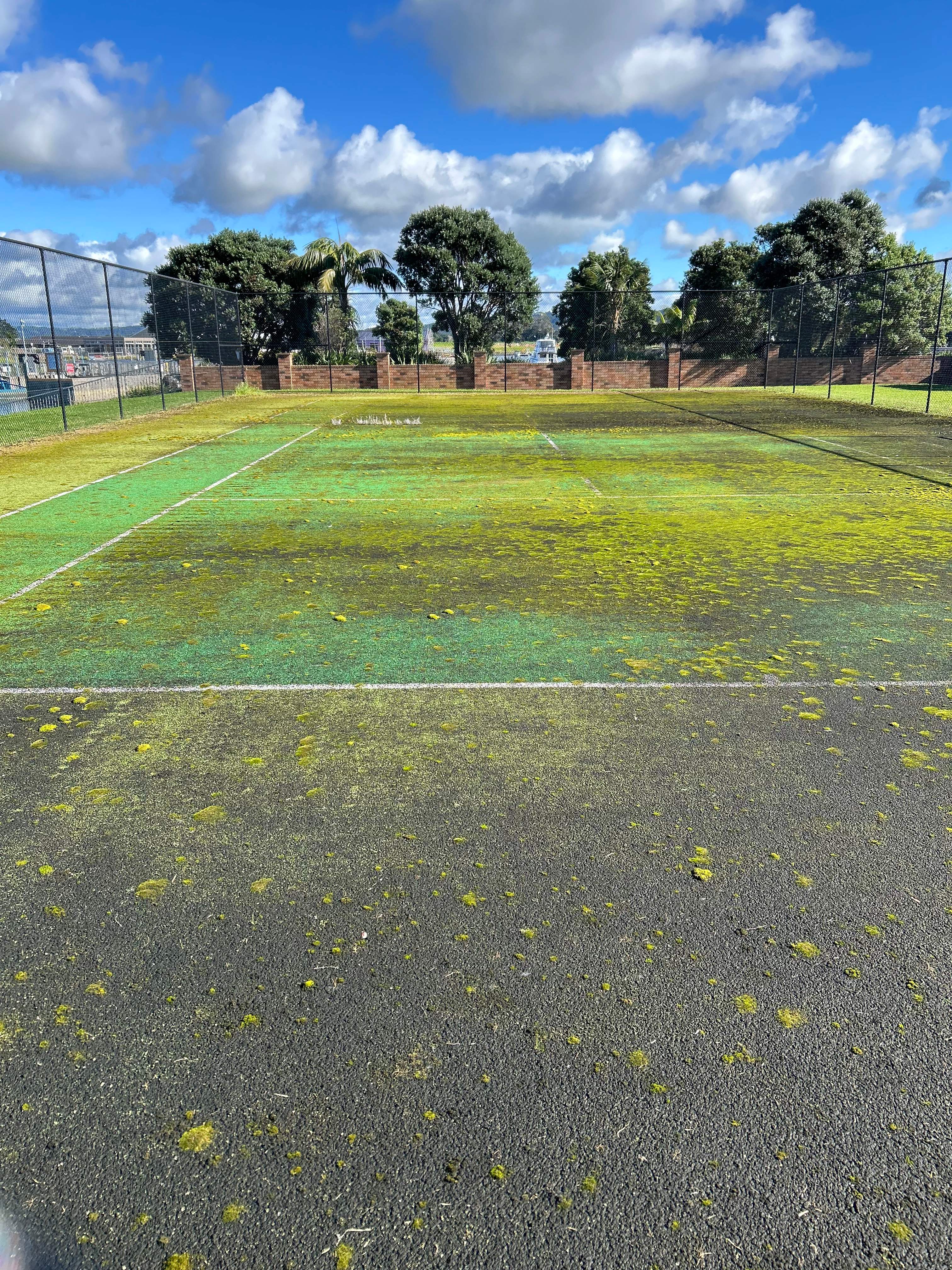 Artificial Turf Court Moss Treatment - before cleaning